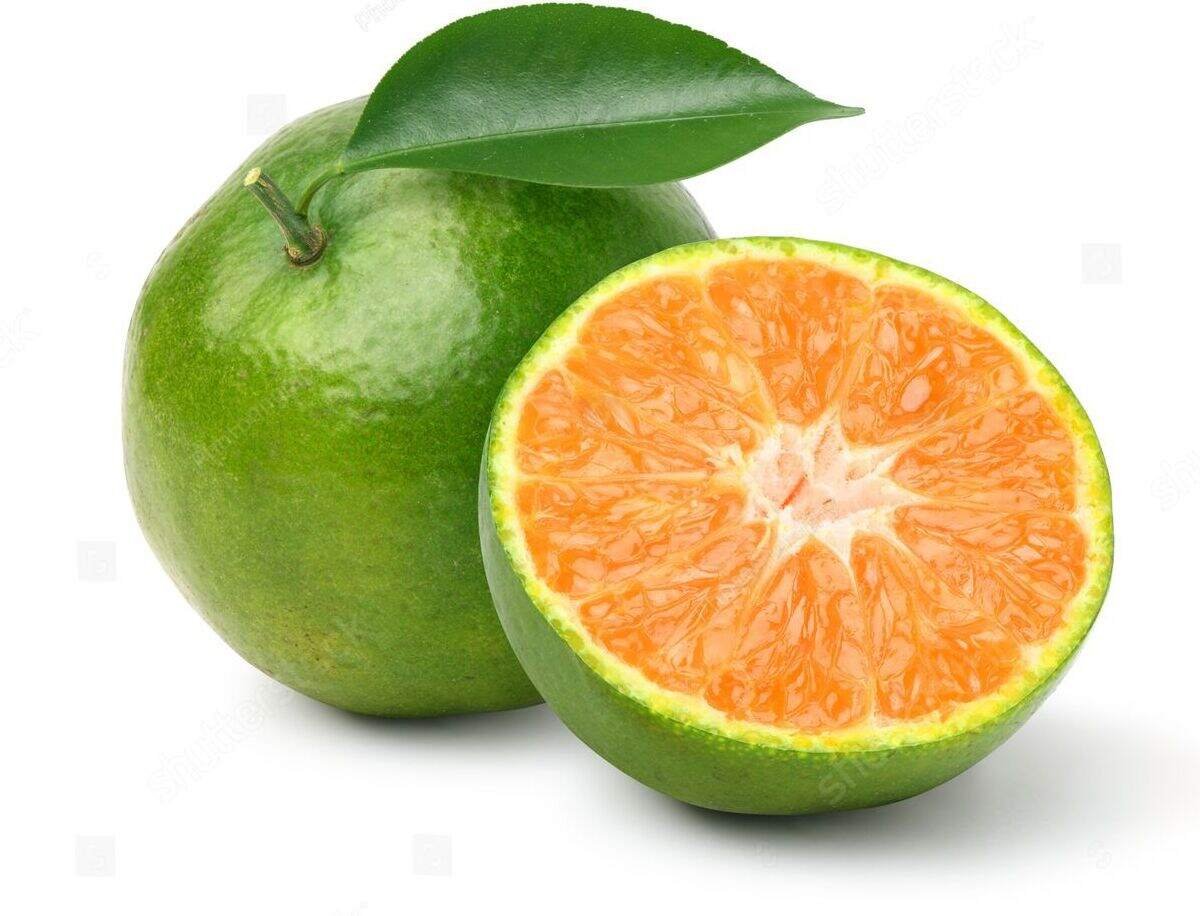 Orange - संतरा